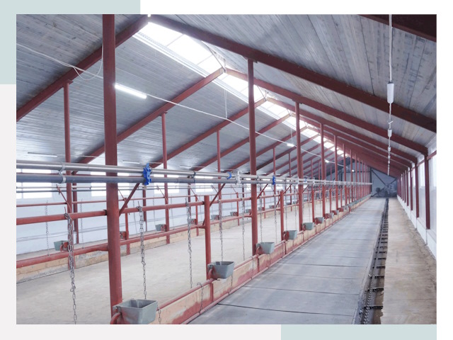 Строительство коровников в Дагестанских Огнях от 619 руб.