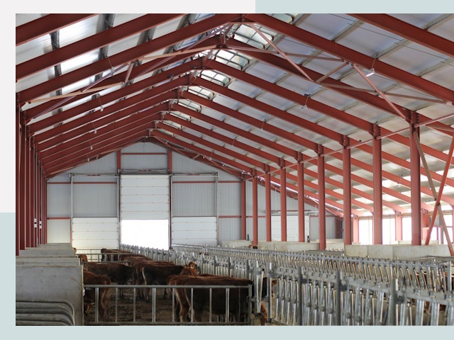 Строительство коровников в Дагестанских Огнях