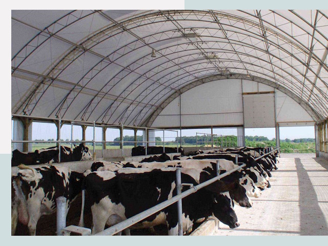 Тентовые коровники в Дагестанских Огнях